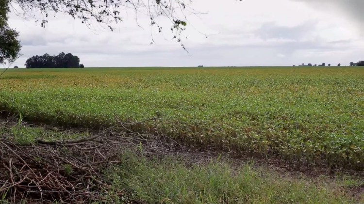 histoires de la plaine 3