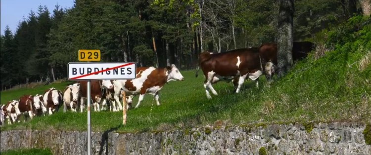 village dans le vent 8