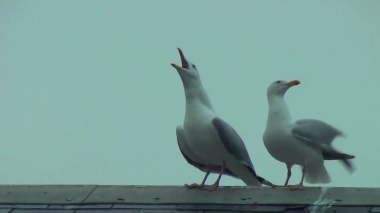 je ne me souviens de rien 9