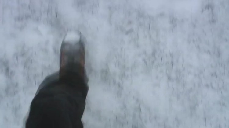 bonheur terre promise