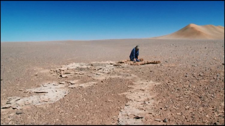 nostalgie lumière 21