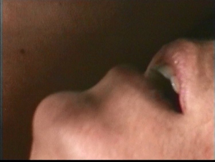 rencontre cavalier 12