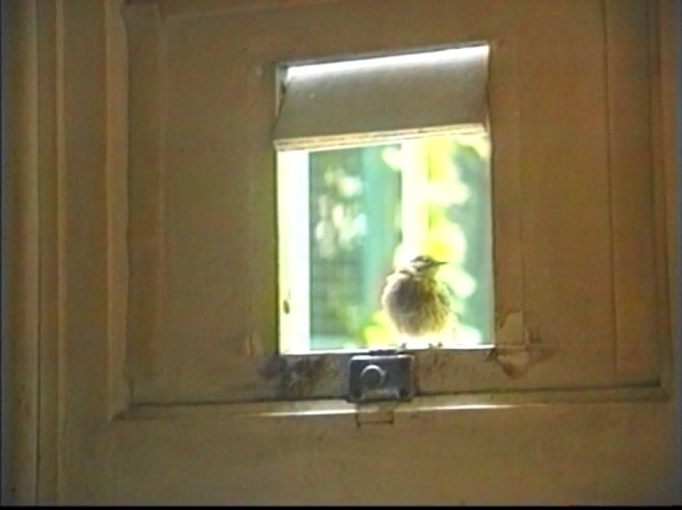 rencontre cavalier 14