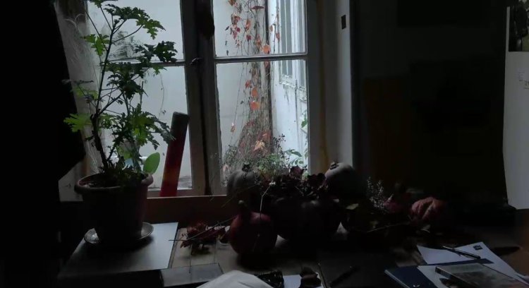 exercice d'admiration 5