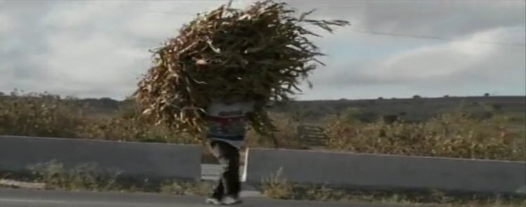 Puisque nous sommes nés