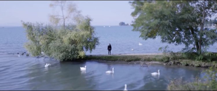 je ne te voyais pas 4